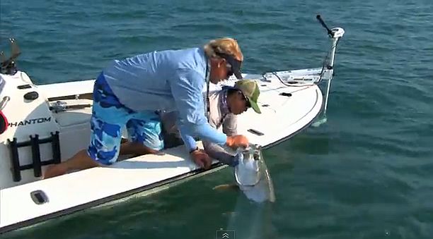 Pic: Mick Fletoridis